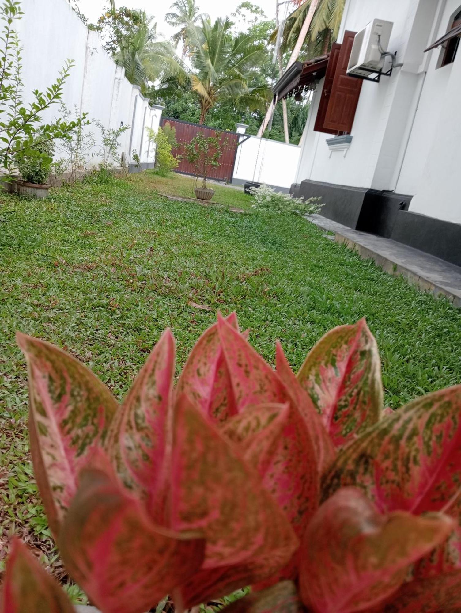 Ranagiri Relaxing Bungalow Bentota Exterior foto